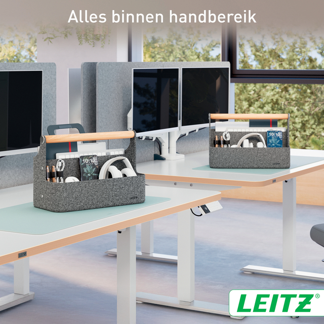 Bureau organizer Leitz draagbaar donkergrijs
