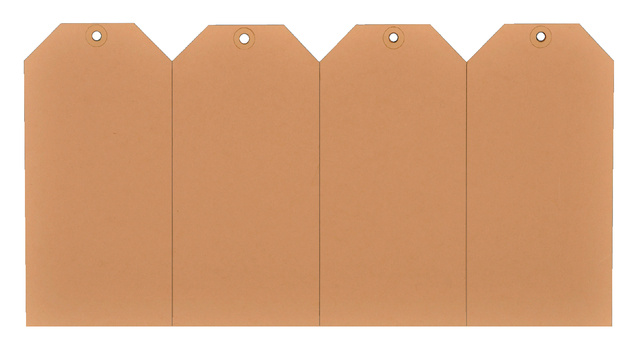 Label karton nr 6 200gr 60x120mm chamois 1000 stuks