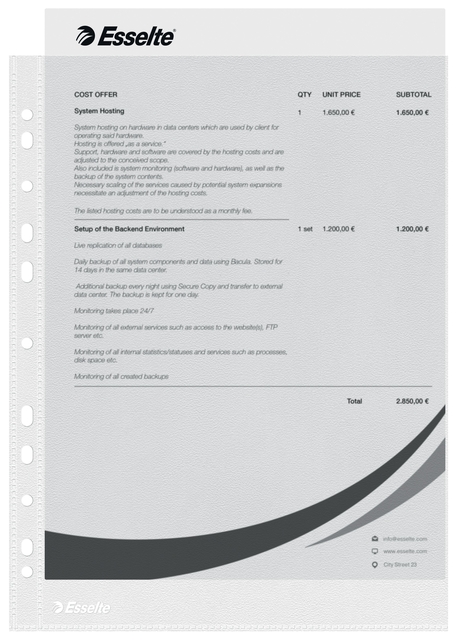 Showtas Esselte Economy copy safe 0.05mm PP A4 100 stuks