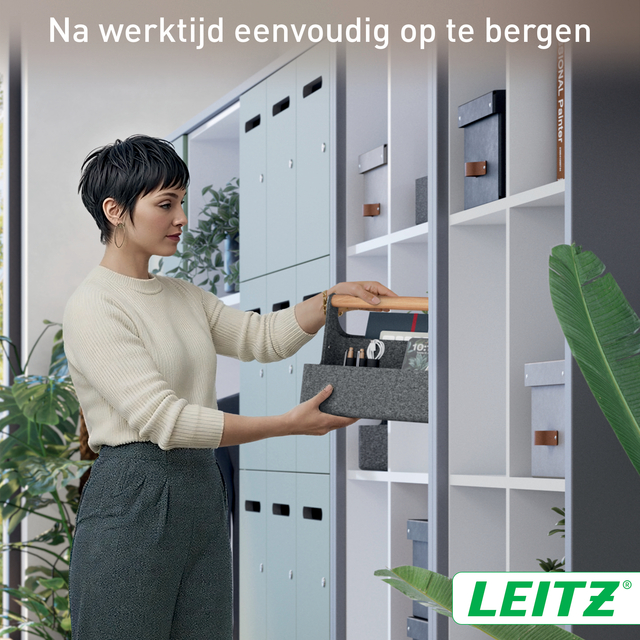 Bureau organizer Leitz draagbaar donkergrijs