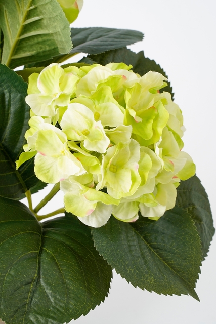 Kunstplant Mica Hortensia in pot groen Ø35 40cm