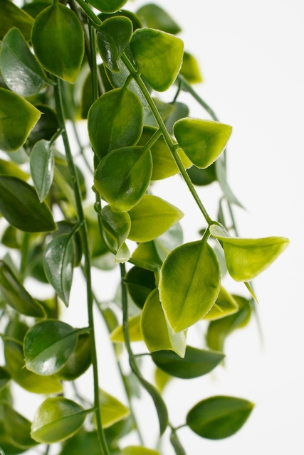 Kunstplant Mica Ficus hangend in pot groen Ø20 46cm