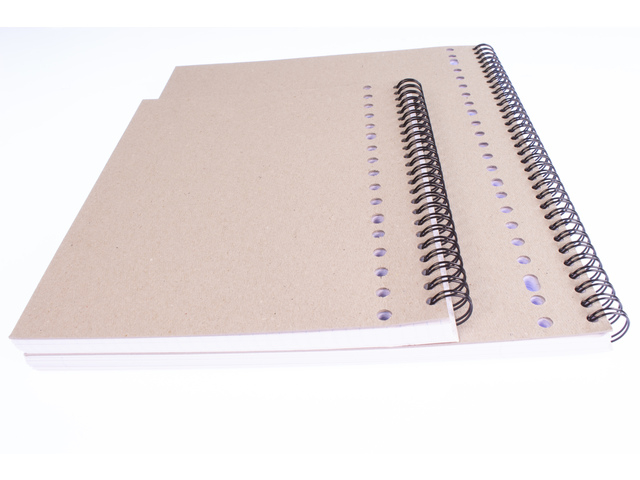 Collegeblok Multo A4 ruit 10mm 23 gaats 160 pagina's 90 gram