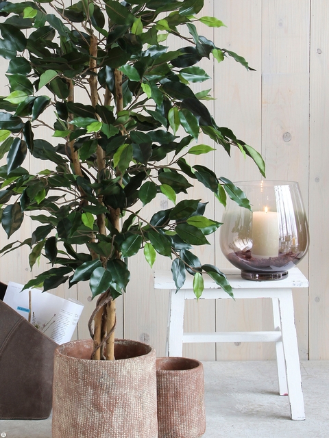 Kunstplant Mica Ficus groen in plastic pot Ø85 150cm