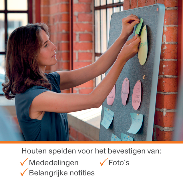 Punaises Nobo hout voor memobord 40 stuks