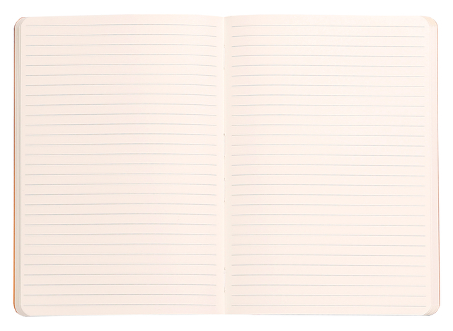 Notitieboek Rhodia A5 lijn 80 vel 90gr celadon