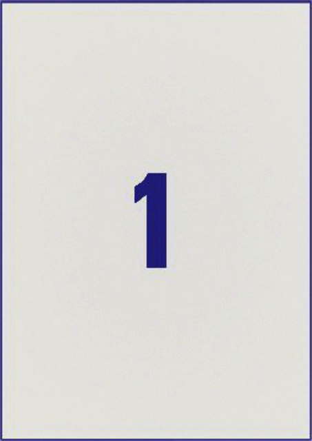 Etiket Avery L6013-20 210x297mm zilver 20 stuks