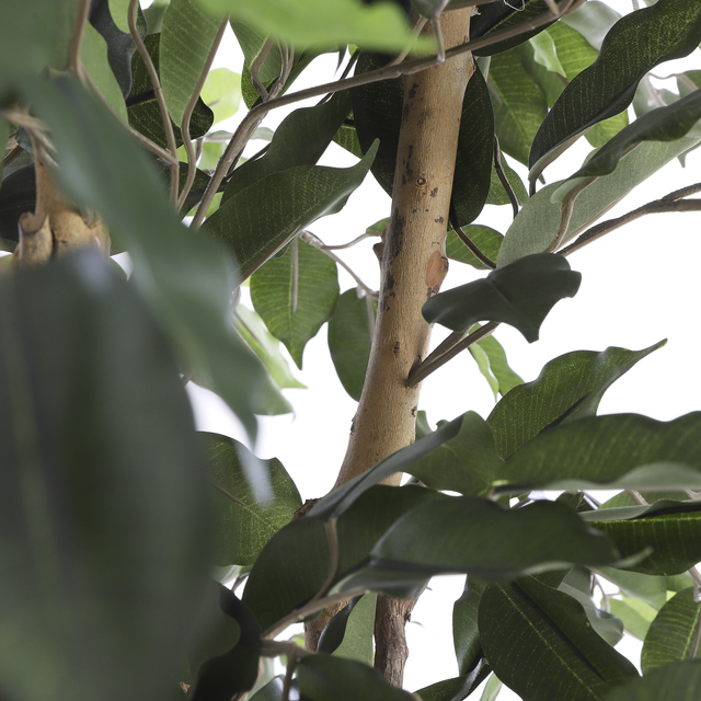 Kunstplant Mica Ficus groen in plastic pot Ø85 150cm