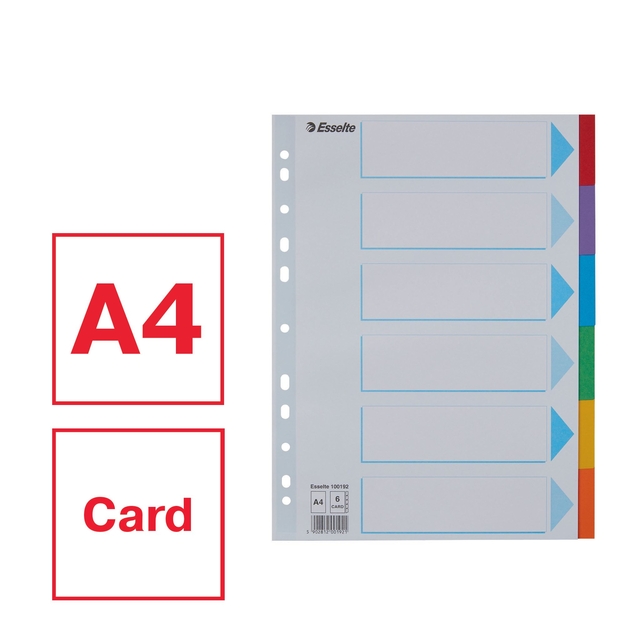 Tabbladen Esselte Standaard A4 6-delig karton 11-rings met voorblad assorti