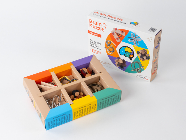 Brain Puzzles - set of 6