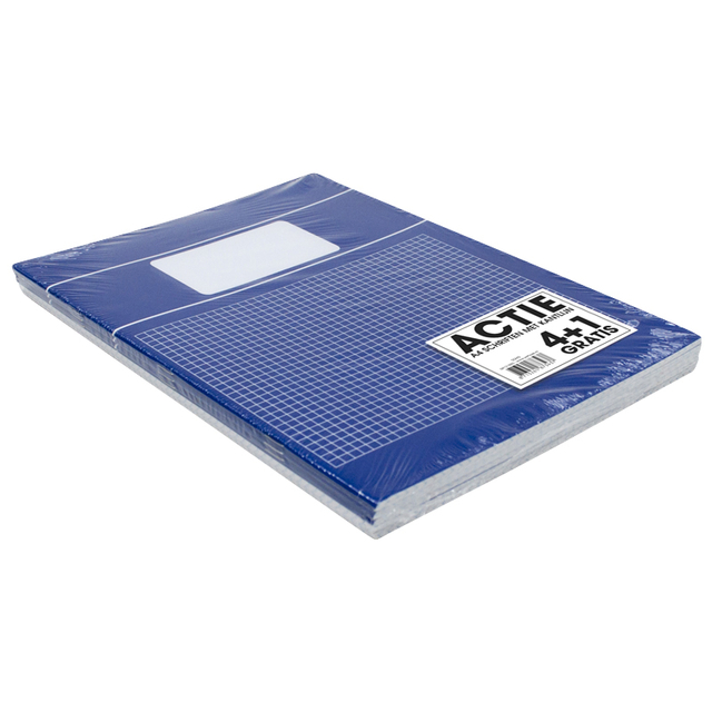 Schrift  SOHO Basic A4 ruit 5x5mm 80 pagina's 60gr assorti 5 stuks