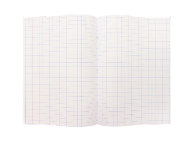 Schrift Kangaro A4 ruit 10mm 80 pagina's 60gr assorti pak  à 5 stuks