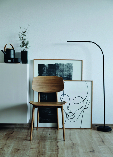 Vloerlamp MAUL Pirro LED dimbaar zwart
