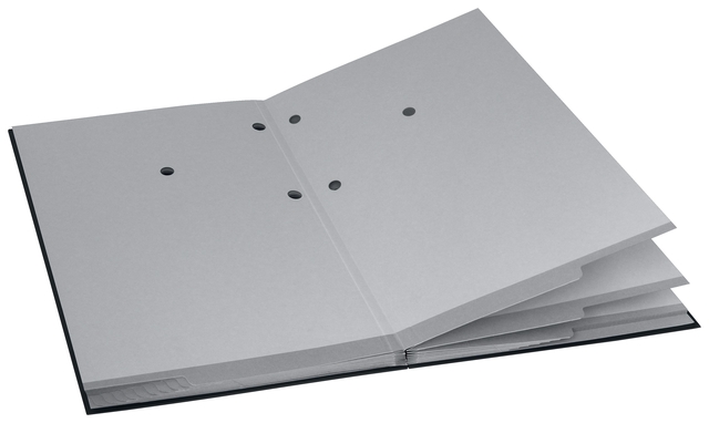 Vloeiboek Esselte 6210 karton 20 tabbladen zwart