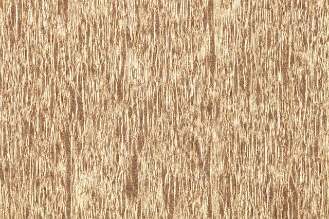Crêpepapier Folia 50x250cm 10vel 9125 goud