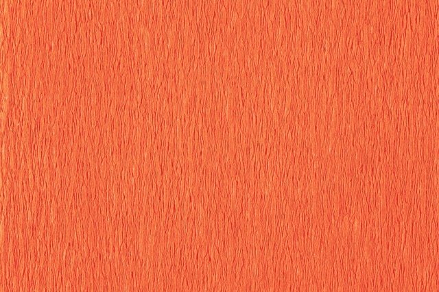 Crêpepapier Folia 50x200cm 10 rollen basiskleuren