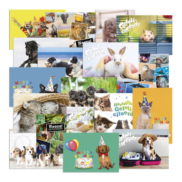 Beloningsposter-kaart De Stulp  thema dieren A4 assorti