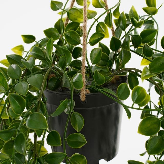 Kunstplant Mica Ficus hangend in pot groen Ø20 46cm