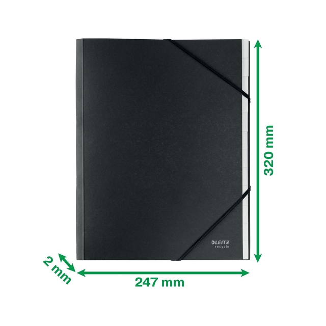 Sorteermap Leitz Recycle 12 tabs karton zwart