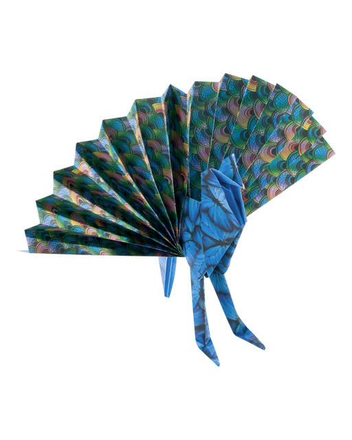 Vouwblaadjes Folia 80gr 15x15cm 50 vel 2-zijdig 10 wildlife designs