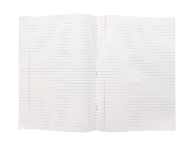 Schrift Kangaro A4 lijn 80 pagina's 60gr assorti pak à 5 stuks