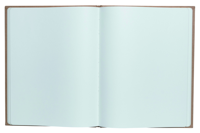 Gastenboek Exacompta Graphik 270x220mm blanco kraft