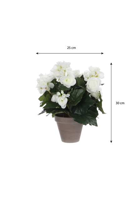 Kunstplant Mica Begonia wit in pot Stan grijs Ø25 30cm