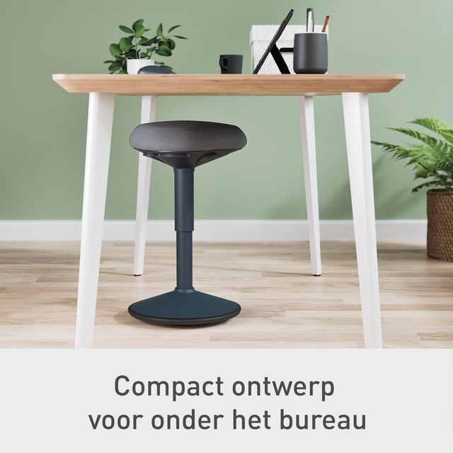 Actieve zitkruk Leitz Ergo met gasveer 47-64cm