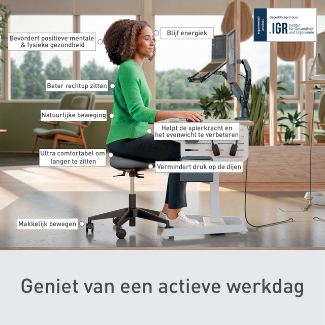 Zitkruk Leitz Ergo met wieltjes en wiebelkussen