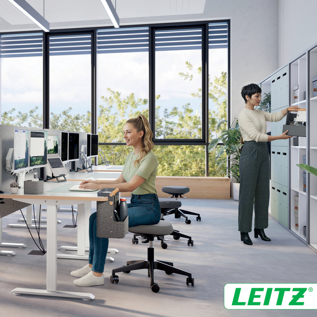 Bureau organizer Leitz draagbaar hangend donkergrijs