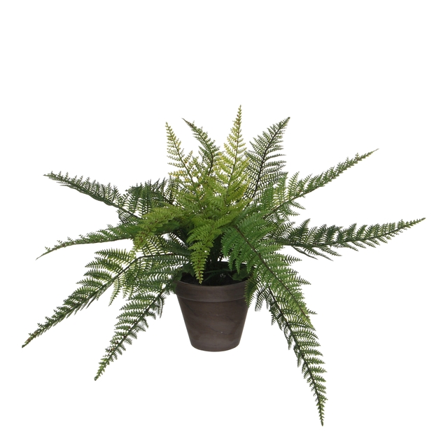 Kunstplant Mica varen groen in pot Stan grijs Ø50 38cm