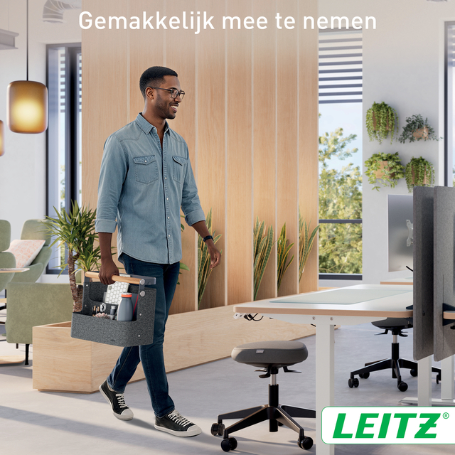Bureau organizer Leitz draagbaar hangend donkergrijs