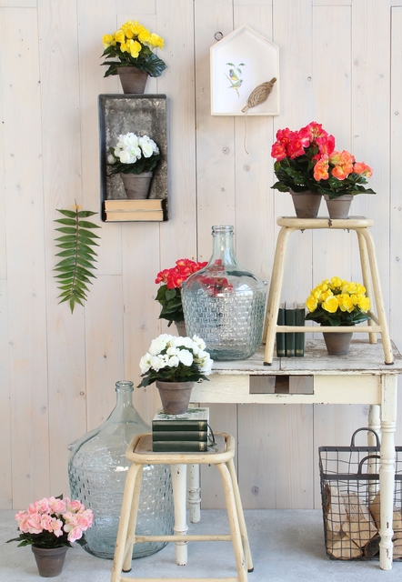 Kunstplant Mica Begonia wit in pot Stan grijs Ø25 30cm