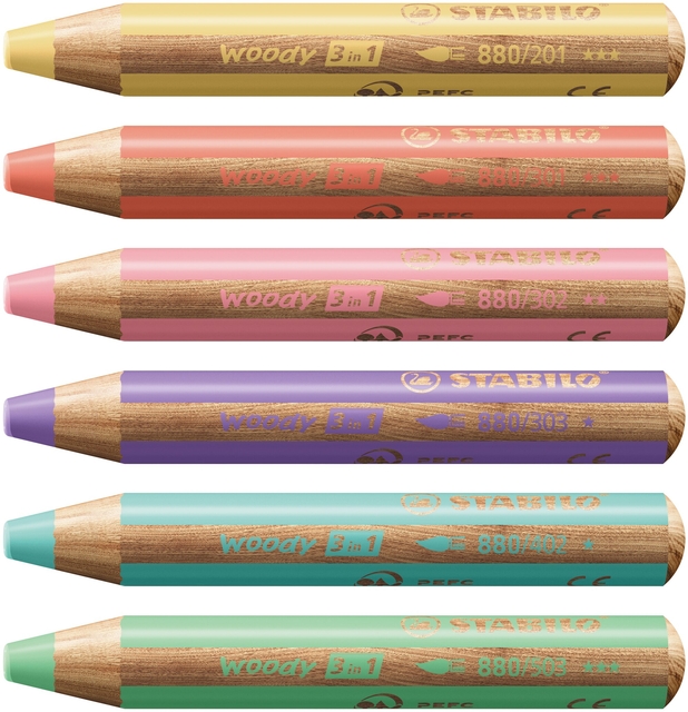 Kleurpotloden STABILO 880 woody inclusief puntenslijper pastel assorti etui à 6 stuks