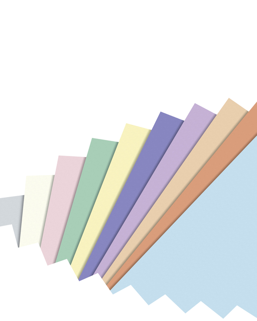 Knutselpapier Folia A4 100vel 10 pastelkleuren