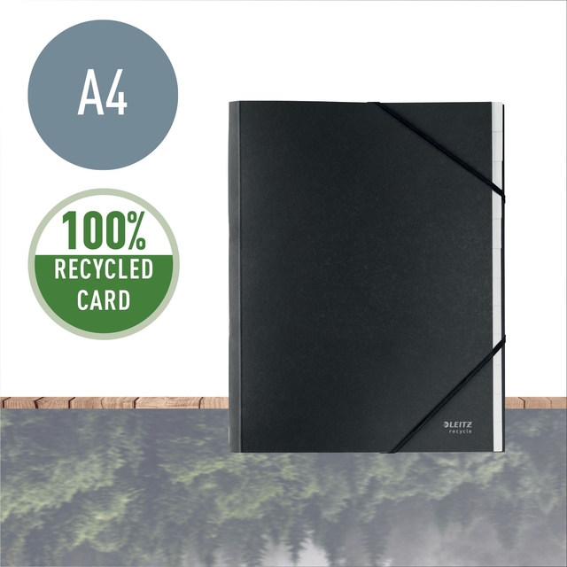 Sorteermap Leitz Recycle 12 tabs karton zwart