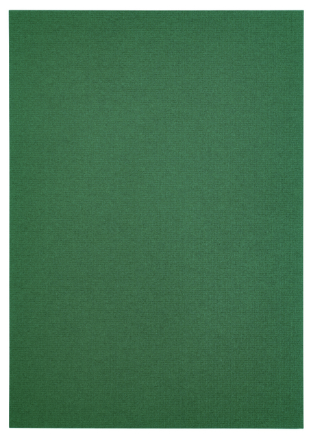 Kopieerpapier Papicolor A4 200gr 6 vel dennengroen