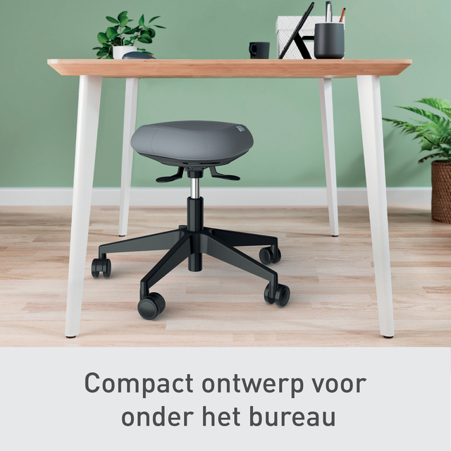 Zitkruk Leitz Ergo met wieltjes en wiebelkussen