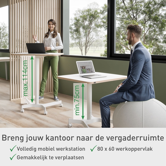 Zit-sta bureau Leitz Ergo compact wielen