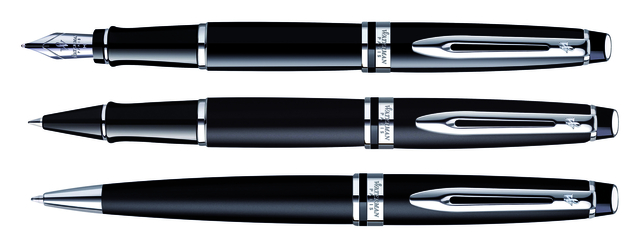 Rollerpen Waterman Expert black lacquer CT fijn