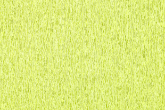 Crêpepapier Folia 50x250cm 10vel 145 lichtgroen