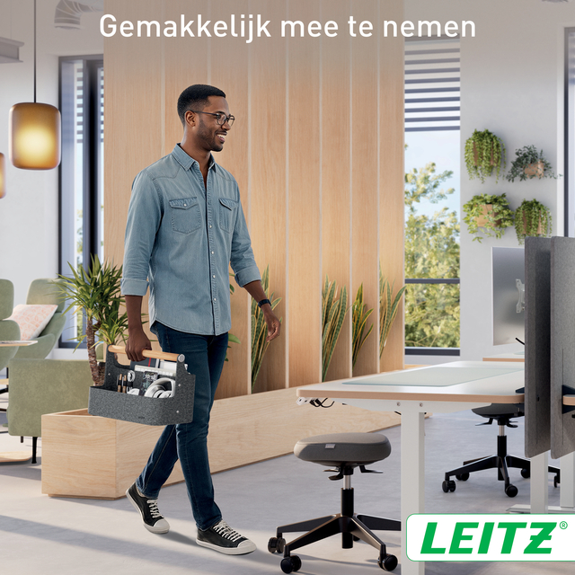 Bureau organizer Leitz draagbaar donkergrijs