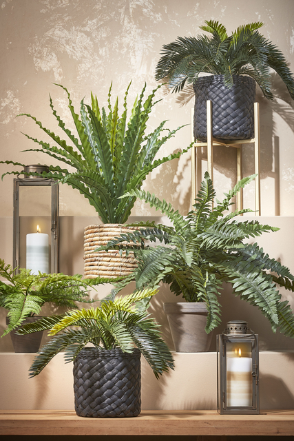 Kunstplant Mica Boston varen groen in pot Ø50cm 42cm