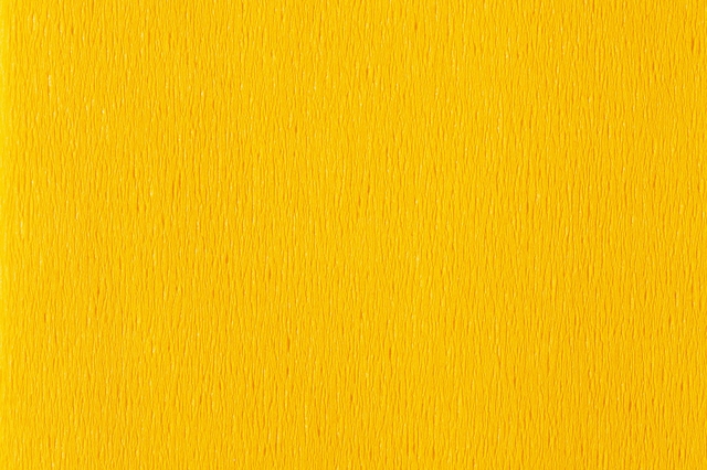 Crêpepapier Folia 50x250cm 10vel 106 geel