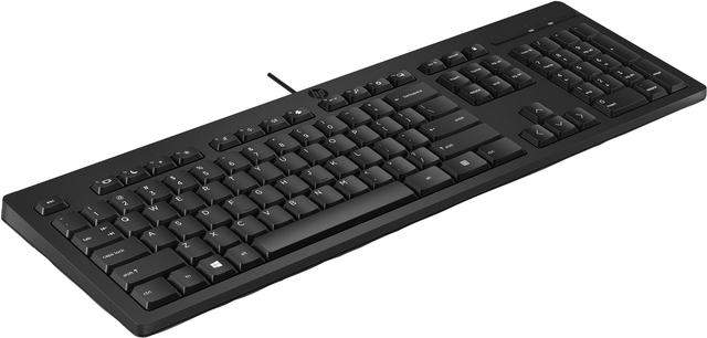 Toetsenbord HP 125 USB bedraad QWERTY