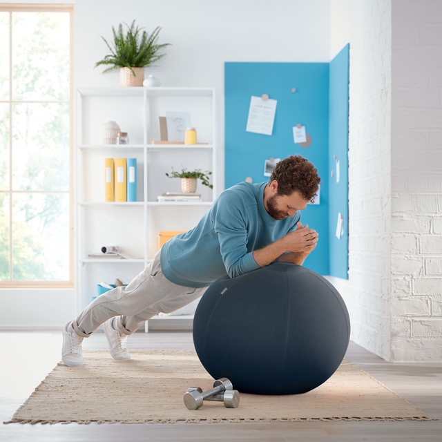 Actieve zitbal Leitz Ergo Cosy 65cm donkergrijs