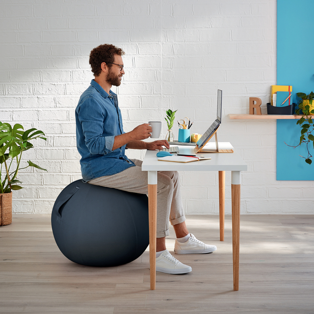 Actieve zitbal Leitz Ergo Cosy 65cm donkergrijs